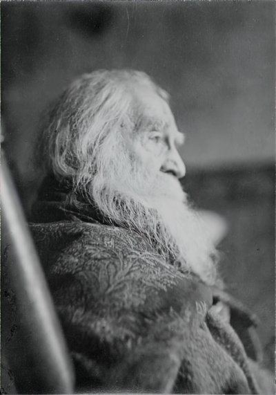 Walt Whitman Camdenissa, N.J., n. 1891. tekijältä Thomas Eakins