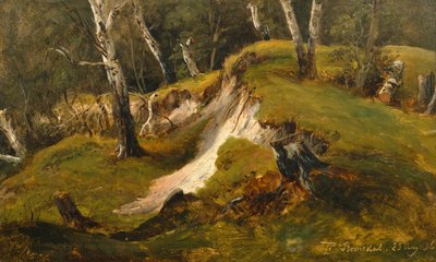Birckin varastot Romsdalissa tekijältä Thomas Fearnley