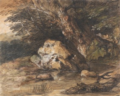 Metsäallas kivillä ja kasveilla tekijältä Thomas Gainsborough