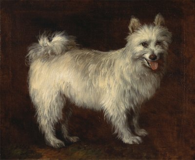 Spitz-koira tekijältä Thomas Gainsborough
