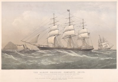Albion Shipping Companyn alukset (värillinen litografia) tekijältä Thomas Goldsworth Dutton