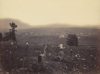 Waymart, Del. & Hudson Canal Co., c. 1863-1865. tekijältä Thomas H. Johnson