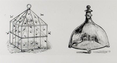 Ampiaisten ja kärpästen ansoja, Thomas Mawsonin teoksesta "The Art and Craft of Garden Making", julkaistu 1900 (kaiverrus) (m/v kuva) tekijältä Thomas Hayton Mawson
