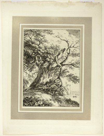 Old Tree, Specimens of Polyautography -lehden ensimmäisestä numerosta tekijältä Thomas Hearne