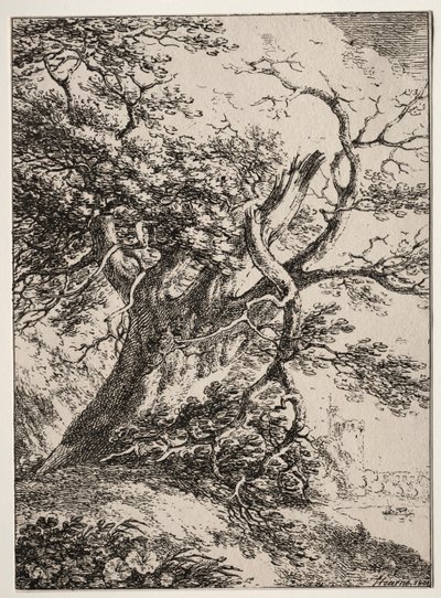 Polyautografian näytteet: Maisema tammen kanssa, 1803. tekijältä Thomas Hearne