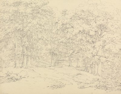 Puut Ashtead Parkissa, Surreyssa tekijältä Thomas Hearne
