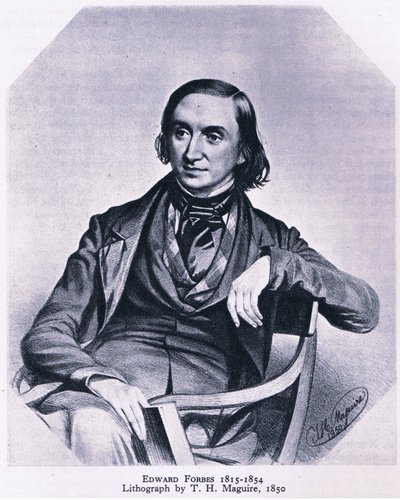 Edward Forbes (1815-1854), Nature in Britain, julkaissut Collins, 1946. tekijältä Thomas Herbert Maguire