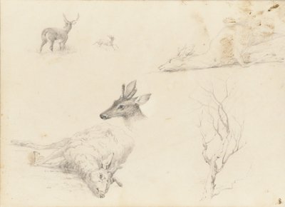 Luonnoskirja maisema- ja eläinaiheista, 1860-64. tekijältä Thomas Hewes Hinckley