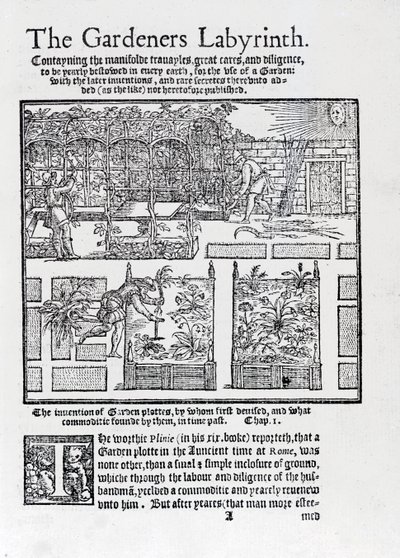 Lehtimaja, joka on rakennettu varjoksi aurinkoa vasten ja istutettu korotettuihin penkkeihin, Gardeners Labyrinth, 1577 tekijältä Thomas Hill