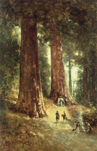 Redwoodsissa, 1899 tekijältä Thomas Hill