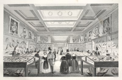 British Museum, Zoological Gallery, "London Interiors with their Costumes and Ceremonies" -pubista. Joseph Mead, Lontoo, n.1843 (teräskaiverrus) tekijältä Thomas Hosmer Shepherd