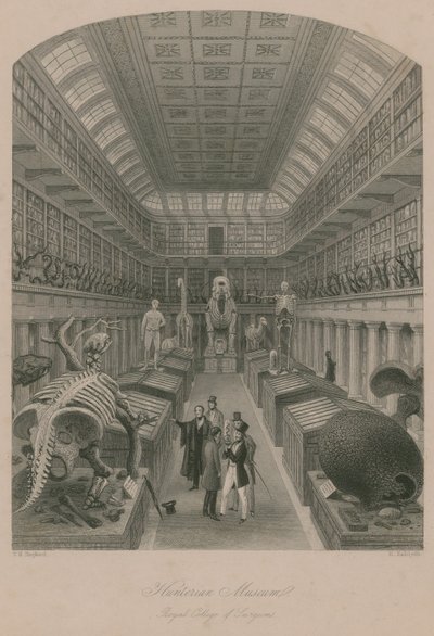 Hunterian Museum, Royal College of Surgeons, Lontoo tekijältä Thomas Hosmer Shepherd