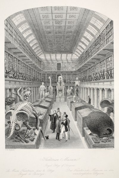 Hunterian Museum, Royal College of Surgeons, "London Interiors with their Costumes and Ceremonies" -pubista. Joseph Mead, Lontoo, n.1843 (teräskaiverrus) tekijältä Thomas Hosmer Shepherd