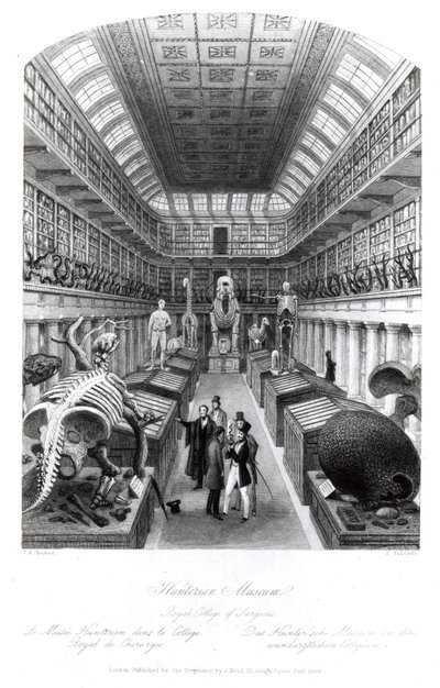 Ang Hunterian Museum, ilustrasyon sa 