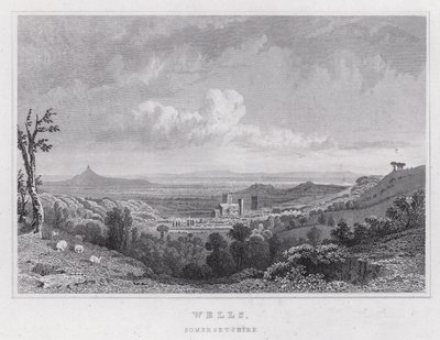 Wells, Somersetshire (kaiverrus) tekijältä Thomas Hosmer Shepherd