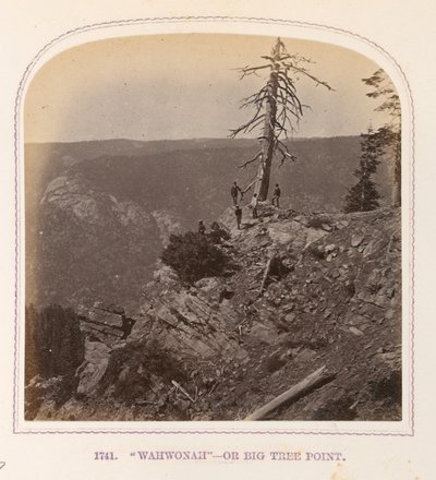 "Wahwonah" - tai Big Tree Point tekijältä Thomas Houseworth