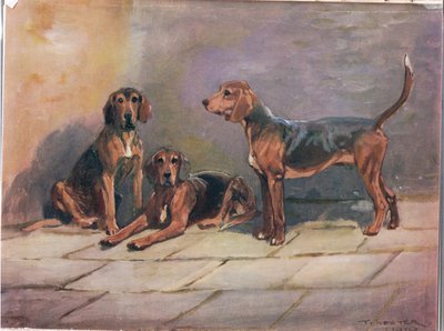Koirat, kuvitus kirjasta "Hounds" tekijältä Thomas Ivester Lloyd