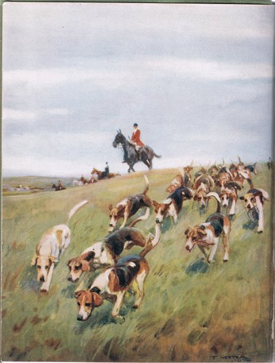 Fox Hunting, kuvitus kirjasta "Hounds" tekijältä Thomas Ivester Lloyd