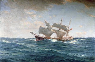 Ontuva ankka (öljy kankaalle) tekijältä Thomas J. Somerscales