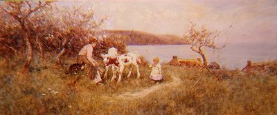 Vasikoiden ruokinta tekijältä Thomas James Lloyd