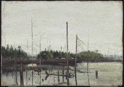 Drowned Land, 1912 (öljy paperille (kohokuvioidulla kankaalla) puulle) tekijältä Tom Thomson