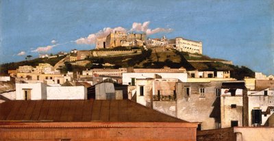 Näkymä Certosa di San Martinosta ja Castel Sant