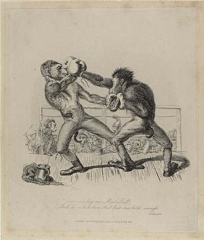Monkeys Boxing, alkaen Monkey-ana tekijältä Thomas Landseer
