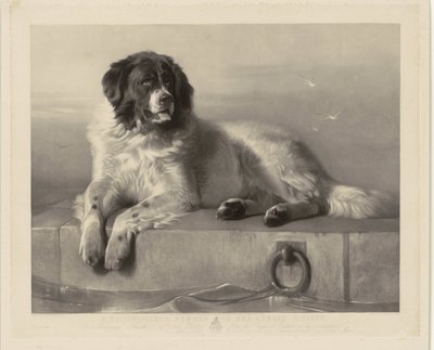 Muotokuva pelastuskoira Bobista makaamassa laiturilla Humane Societyn arvostettu jäsen (otsikko esineessä) tekijältä Thomas Landseer