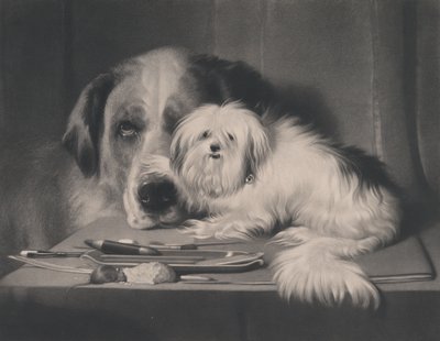 Maltan leijonakoira – heimonsa viimeinen, 1844. tekijältä Thomas Landseer