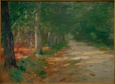 Metsäpolku auringonpilkkuineen tekijältä Thomas Ludwig Herbst