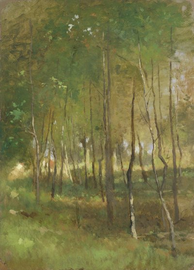 Puu (öljy paperille asetettu kankaalle) tekijältä Thomas Ludwig Herbst