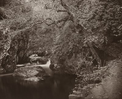 Dargle Hole, n. 1865. tekijältä Thomas Marcus Brownrigg