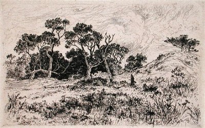 Etelätuuli ja pilvinen taivas julistavat sen metsästysaamuksi (etsaus) tekijältä Thomas Moran