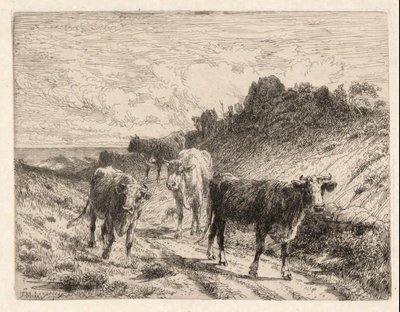 Lehmät tekijältä Thomas Moran