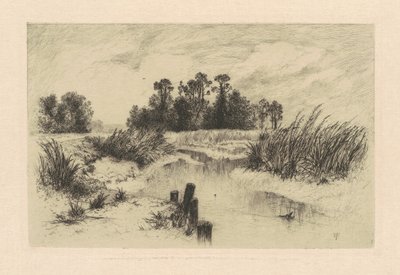 Newark Meadowsissa tekijältä Thomas Moran