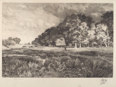 Long Islandin maisema tekijältä Thomas Moran