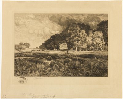 Long Islandin maisema tekijältä Thomas Moran