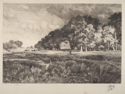 Long Islandin maisema tekijältä Thomas Moran