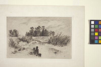 Suoinen maisema ja virta (etsaus paperille) tekijältä Thomas Moran