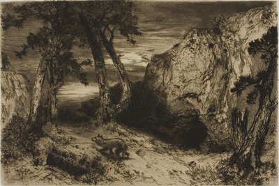 Coyote - Arizona tekijältä Thomas Moran