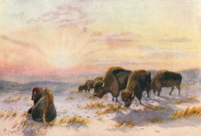 Puhvelin ruokailu talvella (värilitro) tekijältä Thomas Mower Martin