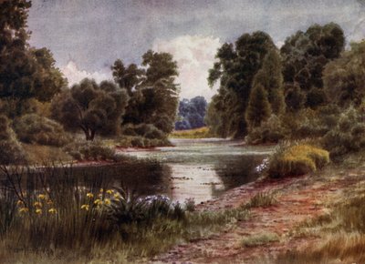 Kew Gardens: Järvi, Etelään katsova (väri litho) tekijältä Thomas Mower Martin