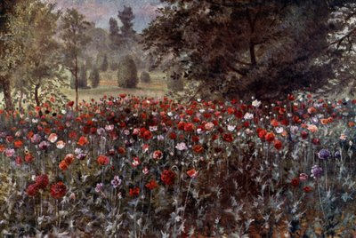 Kew Gardens: Poppy Beds (väri litho) tekijältä Thomas Mower Martin