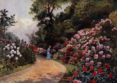Kew Gardens: Rhododendron Walk (väri litho) tekijältä Thomas Mower Martin