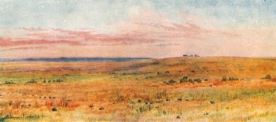 Out on the Prairies (värilitografia) tekijältä Thomas Mower Martin