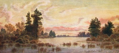  tekijältä Thomas Mower Martin