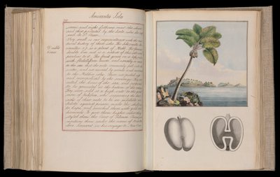 Etiopian Afrikka. Outlines of the Globe