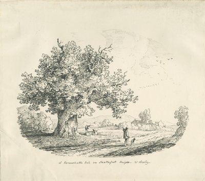Arley - Shatterfort Height: litografia, 1839 tekijältä Thomas Peploe Wood