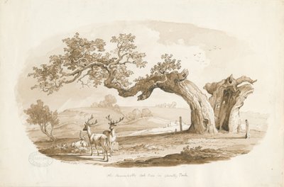Chartley Hall - Park: seepiapiirros (vinjetoitu) tekijältä Thomas Peploe Wood
