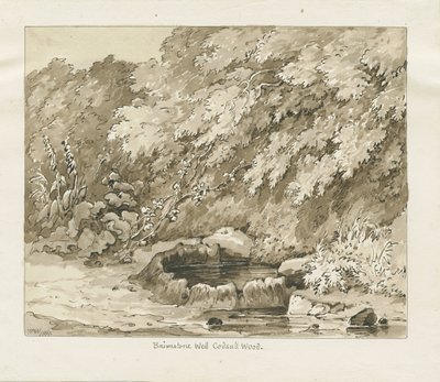 Codsall Wood - Brimstone Well: seepiapiirros tekijältä Thomas Peploe Wood